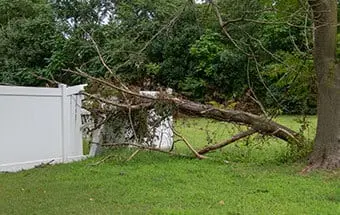 Storm Destruction Cleanup in Williamson County IL