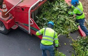 Land Clearing Services near Williamson County Illinois