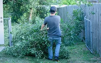 Stump Removal and Land Clearing Williamson County illinois