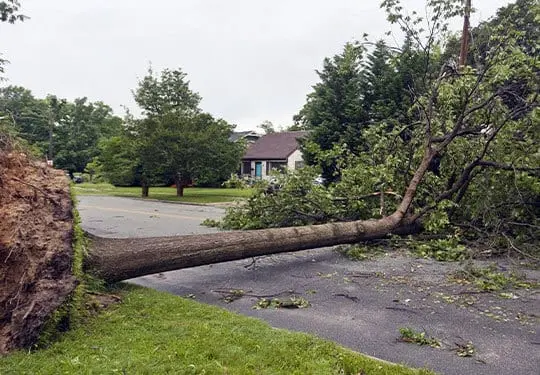 Emergency Storm Damage Cleanup Williamson County Illinois