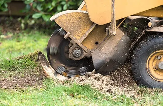 Stump Grinding Williamson County Illinois